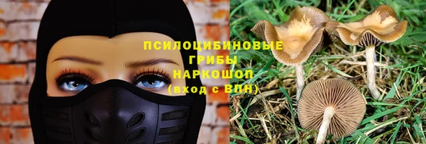 амф Балахна