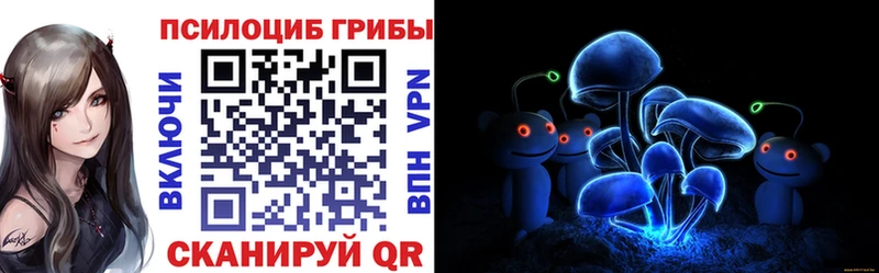 Псилоцибиновые грибы Psilocybine cubensis  Барабинск 